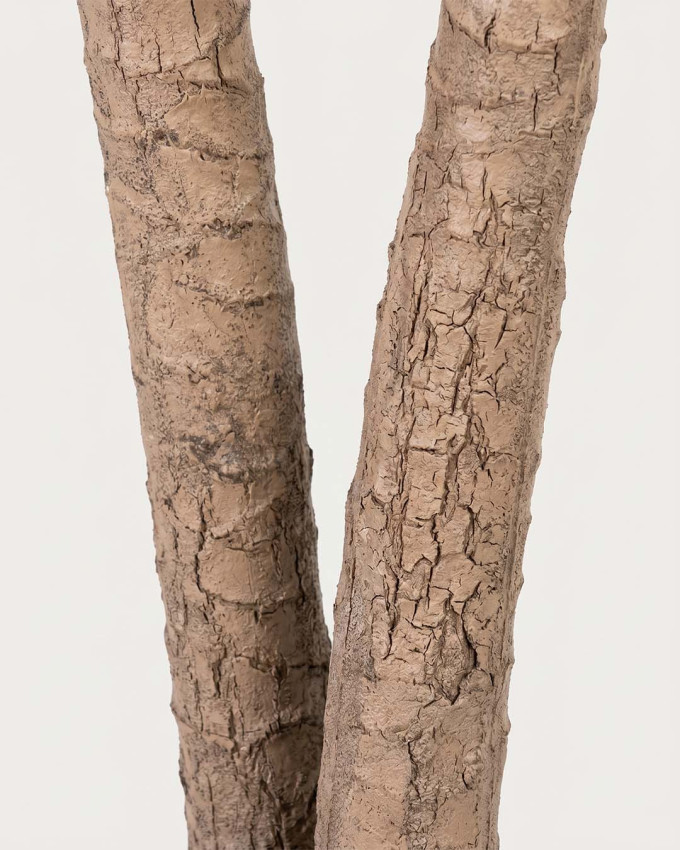 Planta decorativa NUBI