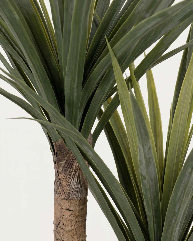 Planta decorativa NUBI detalle