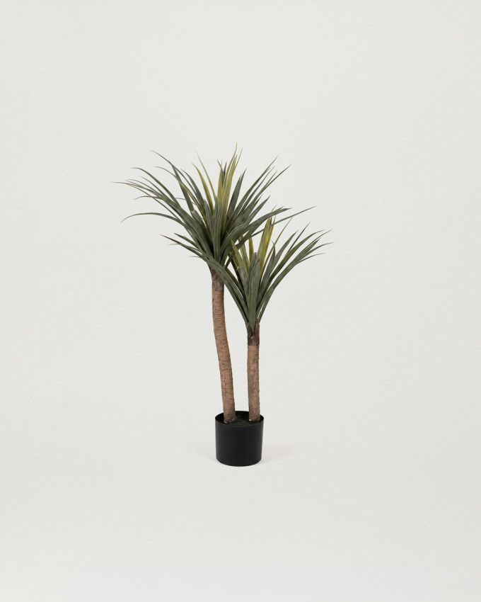 Planta decorativa NUBI