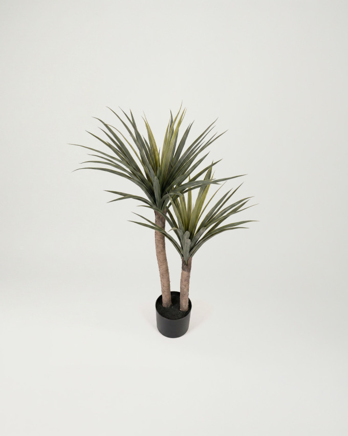 Planta decorativa NUBI