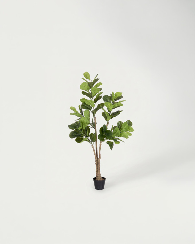 Planta decorativa MALIA