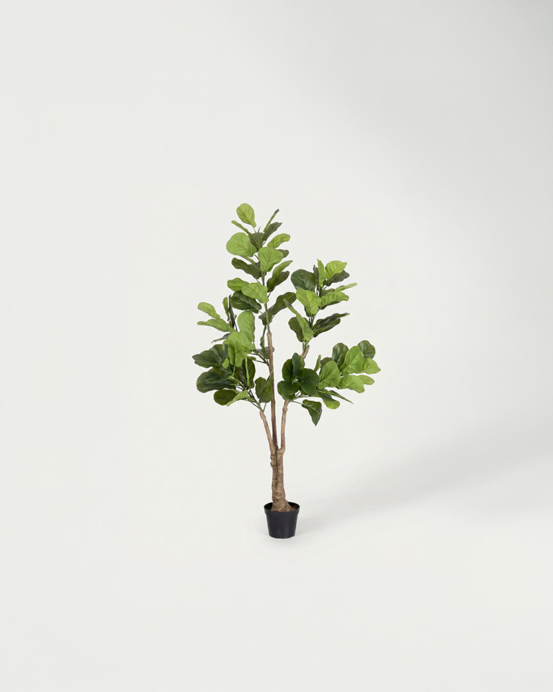 Planta decorativa MALIA frente