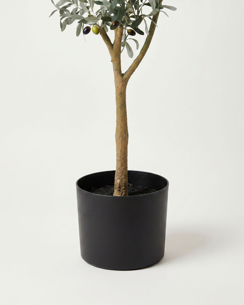 Planta decorativa olivo KIRA | Rey Home