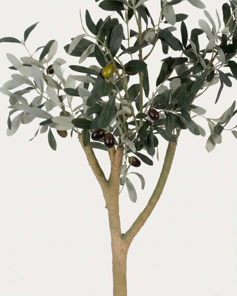 Planta decorativa olivo KIRA | Rey Home