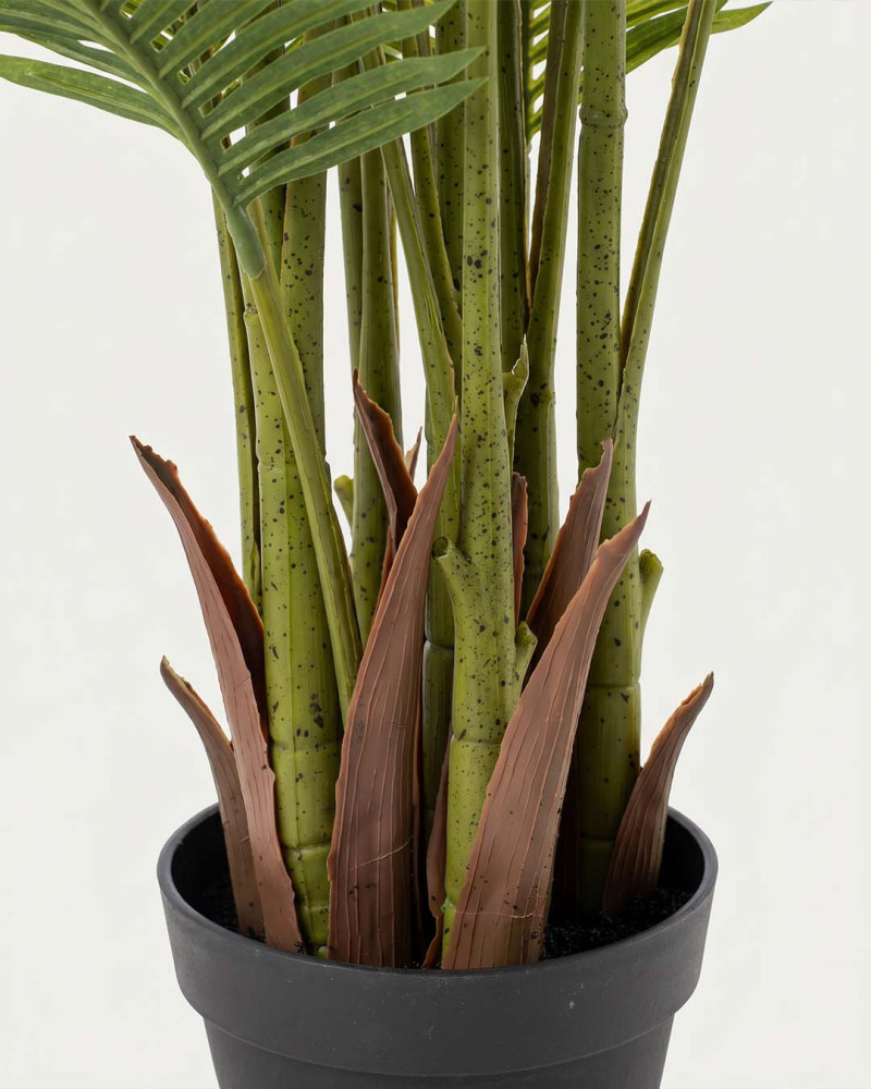 Planta decorativa palmera DAVI detalle