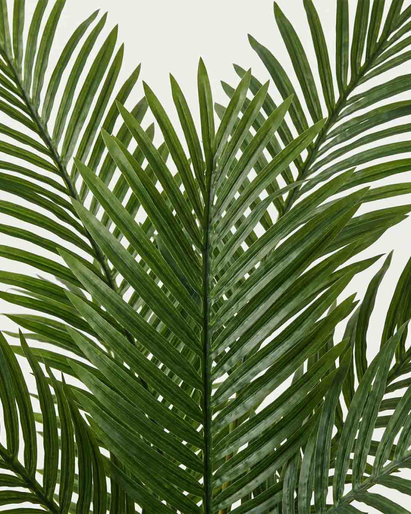 Planta decorativa palmera DAVI frente