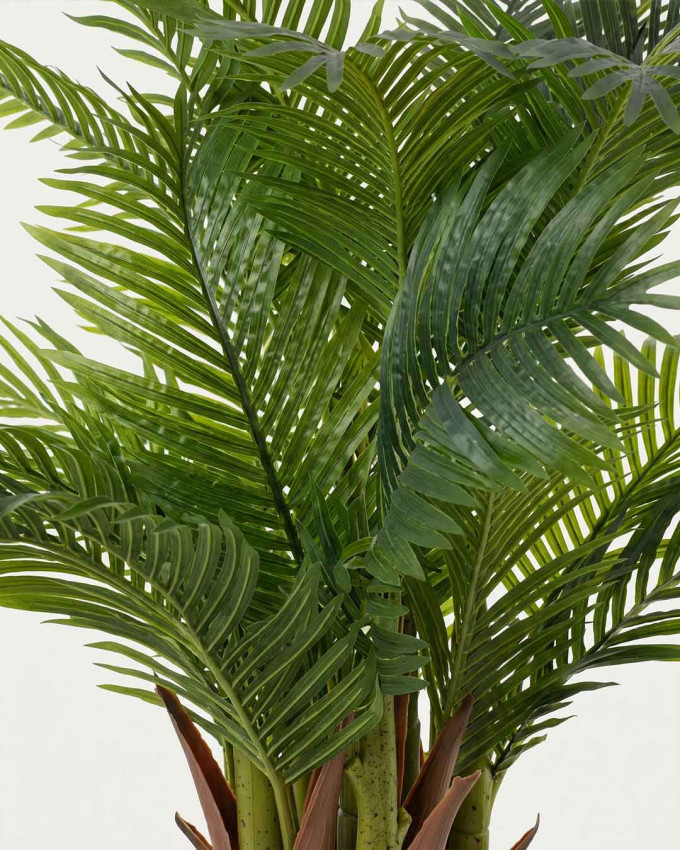 Planta decorativa palmera DAVI