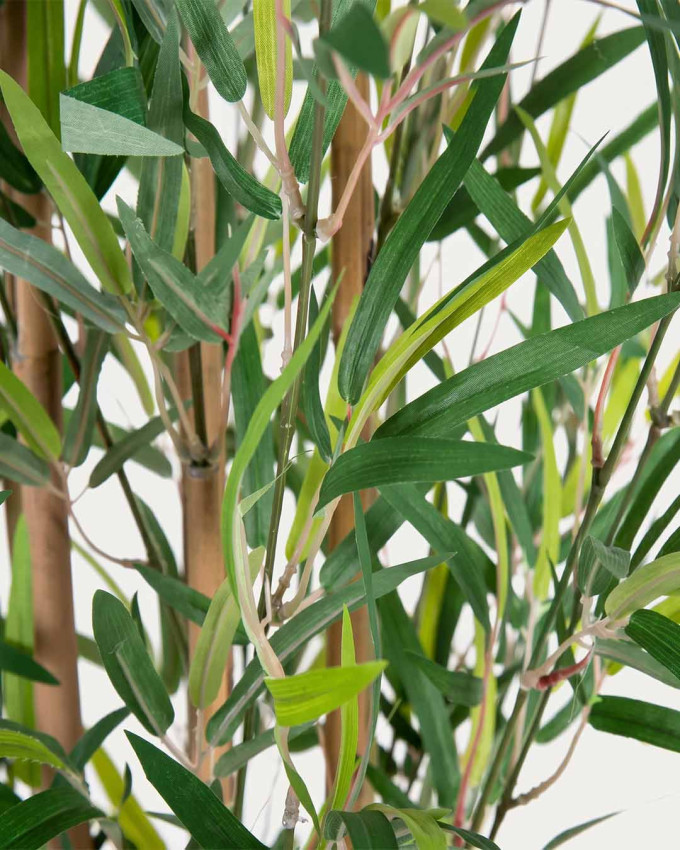 Planta decorativa bambú NOIR