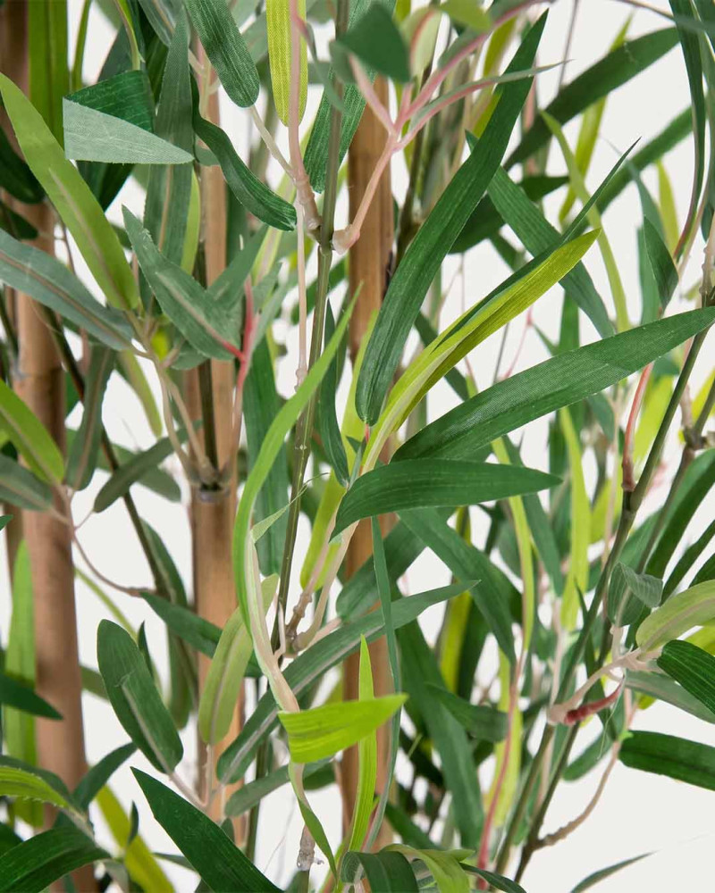 Planta decorativa bambú NOIR detalle