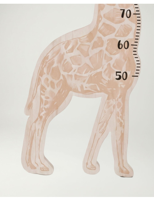 Medidor infantil GIRAVA-frente-detalle 2
