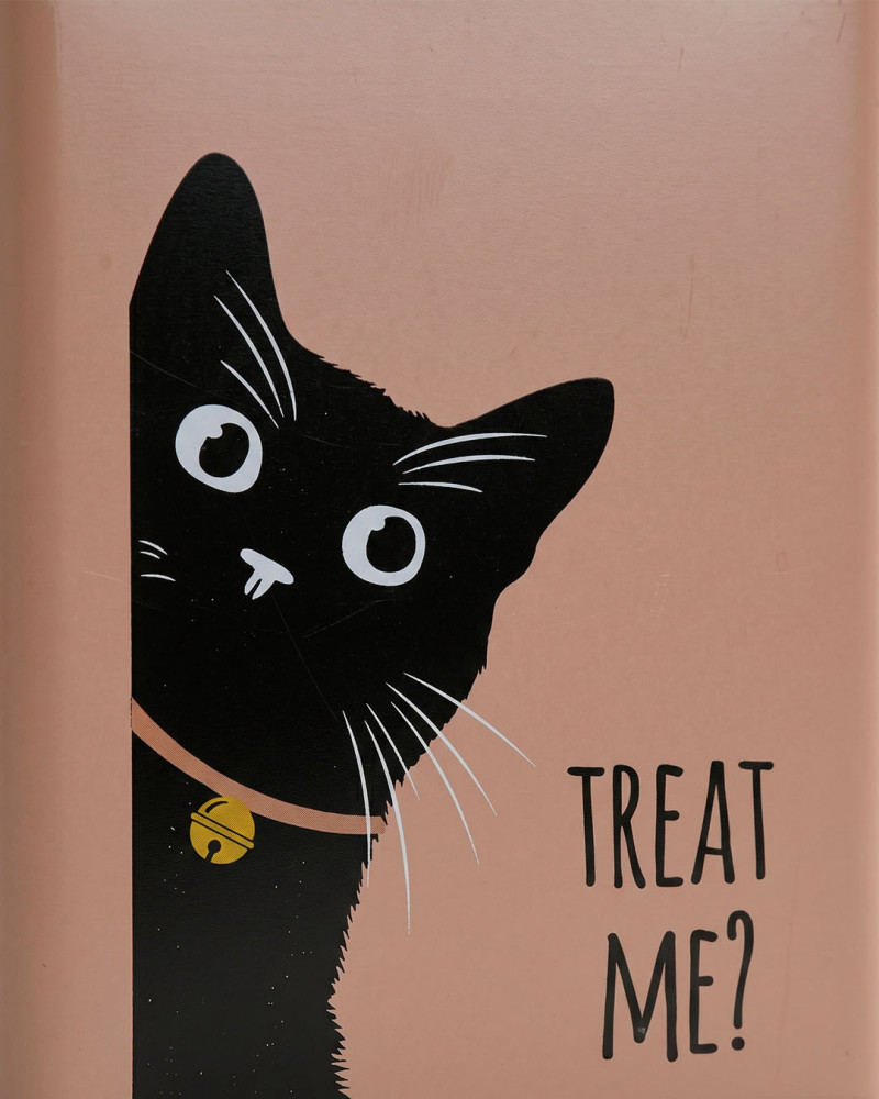 Bote Comida Gato QUIRA | Rey Home