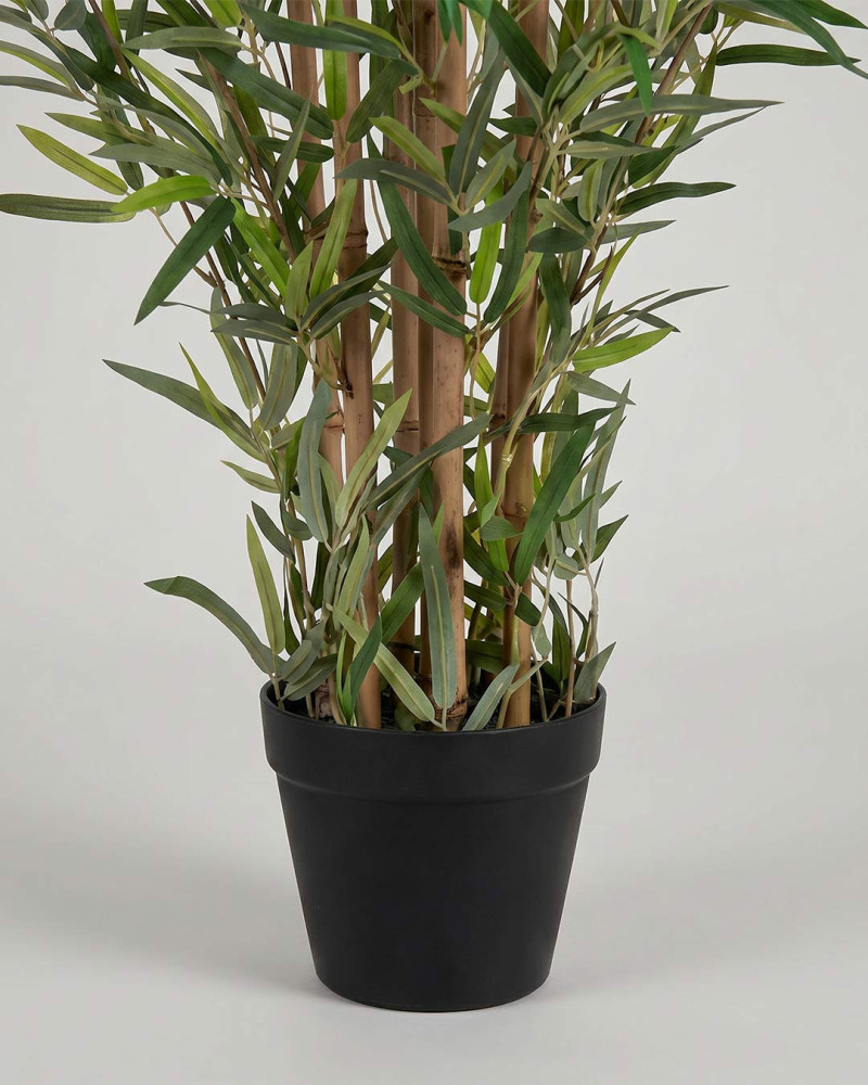 Planta decorativa bambú NOIR detalle