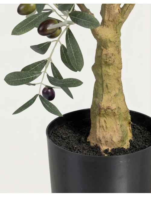 Planta olivo verde CORA | Rey Home